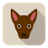 Dog 66