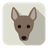 Dog 75